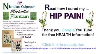 Hip PAIN Cure PLANTAIN Culpeper Herbal [upl. by Astred]