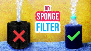 🧽 DIY Sponge Filter How to Make a Sponge Filter for Your Aquarium 🐠 [upl. by Atsahs]