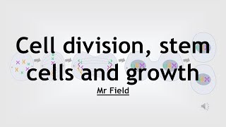 GCSE Biology 08  Cell division and growth [upl. by Philips135]