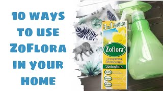 DISINFECT YOUR HOME  10 WAYS TO USE ZOFLORA  CLEANING TIPS [upl. by Maxama709]