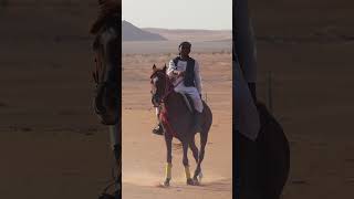 REDHORSE IN REDSAND SAUDI ARABIA😱 [upl. by Eulalie]