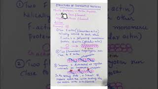 STRUCTURE OF CONTRACTILE PROTEINS [upl. by Nananne871]