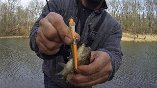 Classic Jerkbait Modified Winter Bass Fishing at the Farm Pond [upl. by Ponton]