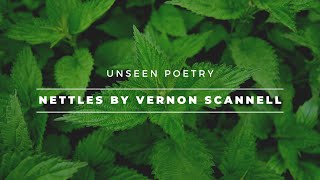 Nettles by Vernon Scannell [upl. by Bertero]