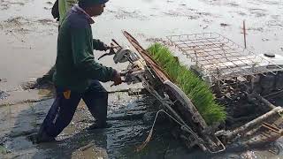 Training Mesin Tanam Padi Tandur  Transplanter [upl. by Rosalinde]