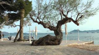 Puerto Pollensa Video 5Calm Day Mallorca Spain [upl. by Atsillak]