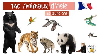 140 Animaux DAsie En Français  Les Cris Des animaux Et Les Noms Des Animaux Pour Les Enfants [upl. by Calia162]