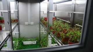 Taiwan HiPoint SINICA Institute growth chamber [upl. by Jenette]