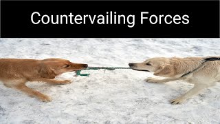 The Countervailing Forces Model [upl. by Gaut739]