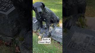 🥹 Wow Found This At A cemetery gooddog dog dogsarethebest dogstatue alldogsgotoheaven love [upl. by Llenrrad]