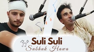 Suli Suli Subhuk Hawa 🥀 Singer Moin Khan minkhan1155 [upl. by Yurik856]