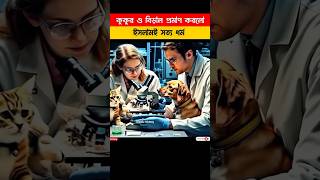 Cat vs Dog Saliva Proved islam ❤️ ইসলামই সত্যিই কারের ধর্ম shorts viralshort shortvideo facts [upl. by Abdu]