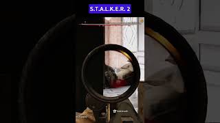 My First Legit STALKER 2 Combat [upl. by Ygiaf]