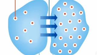 🌸 Physiology 🌸 osmolality 🌸 osmolalarity 🌸 osmosis 🌸tonicity 🌸 [upl. by Otrevire]