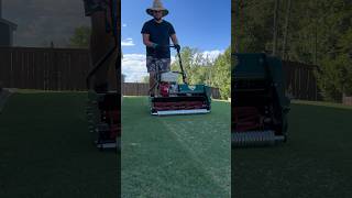 Mowing My Backyard Putting Green Tifway putting green with my California Trimmer Catalyst [upl. by Pilif]