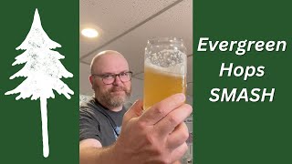 What do Evergreen Hops Taste Like  SMaSH Beer  Brew Dudes [upl. by Revart492]