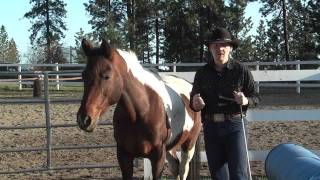 The Importance of Lateral Flexion with your Horse [upl. by Nomahs]