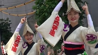 阿波踊り「江戸っ子連」第八回浅草橋紅白マロニエまつり2015 [upl. by Wolfe]