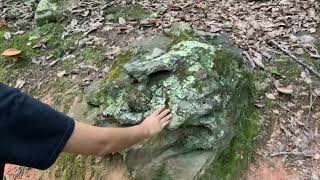 Hiking Crowders Mountain in August on Spores [upl. by Notslar]