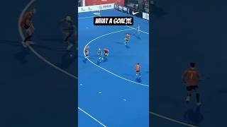 Hockey receiving and goal hockeyskills fieldhockey hockeydrills hockey hockeyshorts [upl. by Winikka]