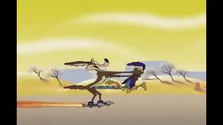 Cartoon Network  ACME Hour Wile E Coyote finally quotcatchesquot Road Runner releasecoyotevsacme [upl. by Bevus]