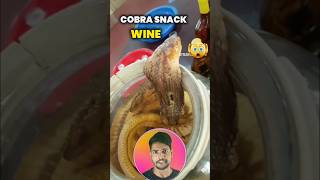 China snake wine shortvideo [upl. by Dde]