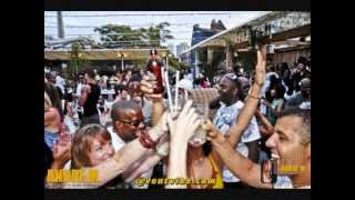 Hot Stepper Sunday Afternoons Patio Party  Toronto  2012 promo [upl. by Elatan901]