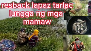 redback SA mga mamaw lapaz tarlac fishingadventure buhayprobinsya tilapia [upl. by Ycnaffit]