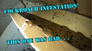 Getting rid of a bad cockroach infestation [upl. by Missak]