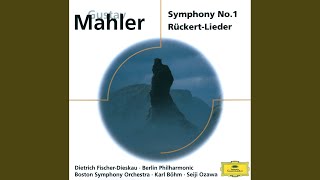 Mahler Symphony No 1 in D Major 2 Kräftig bewegt [upl. by Whiting]