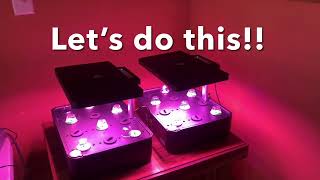 Tips for Starting New Seeds in the IDOO Hydroponics Grow System [upl. by Ilrebma355]