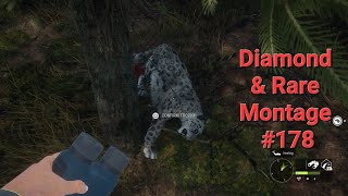 Diamond and Rare Montage 178 The Hunter Call of the Wild Montage [upl. by Enert]