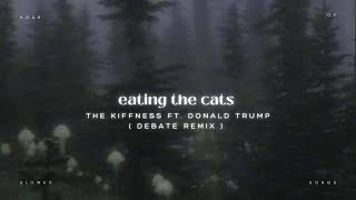 the kiffness  eating the cats ft donald trump  debate remix  slowed down  reverb version [upl. by Lerud]