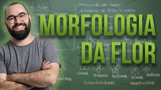 Organologia da Flor Morfologia  Aula 18 Botânica Prof Guilherme [upl. by Aldus441]