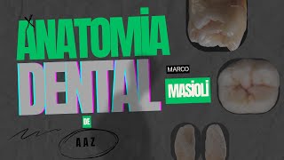 Antomia Dental de A a Z [upl. by Nylirret]