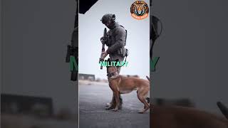 Belgian Malinois vs German Shepherd Who’s the Ultimate Guard Dog [upl. by Dlaner837]