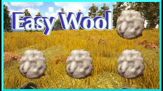 How to Get Easy Wool in Ark Survival evolved [upl. by Corkhill879]