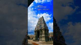 Murugan Songs in Tamil  முருகன் பக்தி பாடல்கள்  Murugan Whatsapp Status Tamil  Kandhan Devotees [upl. by Torbart]