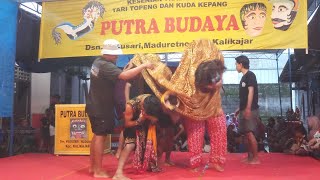 WENGOK  MENDEM PITIK WALIK  PUTRA BUDAYA MADUSARI TERBARU [upl. by Nawiat]