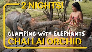 TWO NIGHTS IN CHAI LAI ORCHID  Ethical Elephant Experience Chiang Mai Thailand  River Hike Tour [upl. by Aneehs917]