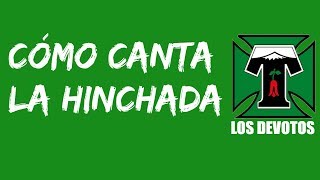 Cómo canta la hinchada  Los Devotos Temuco [upl. by Anissa226]