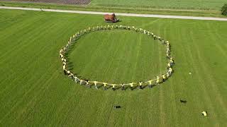 Gezamenlijke start Eeuwfeest 100 jaar biodynamische landbouw [upl. by Erehs]