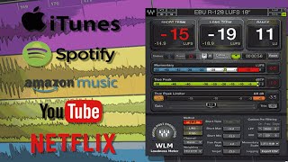 WLM Waves Loudness Meter for Streaming [upl. by Mindy]