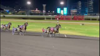 Meadowlands Live Bulldog Hanover WORLD RECORD for Dexter Dunn July 16 2022 [upl. by Dabney]