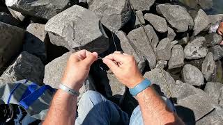 Shad fishing Columbia River John day Dam [upl. by Helbonnas]