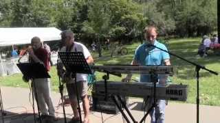 Piknik Wola Rogowska Chicago 06 29 2014 [upl. by Ivie843]