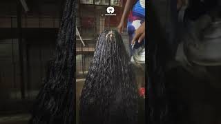 BOILED WATER ON SCALP 😳 [upl. by Enimassej]