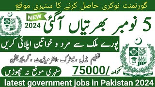 Latest government November jobs 2024 ۔ New jobs 2024 in pakistan۔Latest jobs in Pakistan 2024 today [upl. by Aicitel]