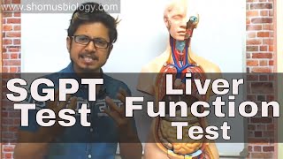 SGPT blood test in Hindi [upl. by Helaina]