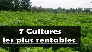 AGRICULTURE  Les 7 cultures les plus rentables en Afrique [upl. by Siroled]